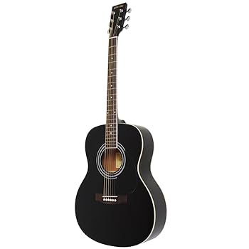 美品 HONEY BEE F-15 RDS ハニービー　アコースティックギター Amazon | HONEY BEE ハニービー アコースティックギター